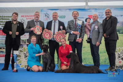 Národní výstava psů Floracanis Olomouc