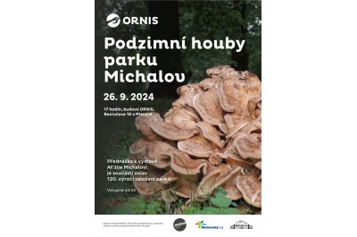 Podzimní houby parku Michalov