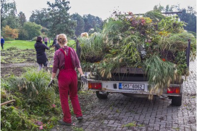 foto_dobrovolnicky_den