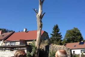 Olomoucký kraj pomůže Domašovu nad Bystřicí zachránit čapí hnízdo