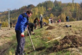 Ve městě Jeseník a obcí Křtomil proběhne podzimní výsadba stromů