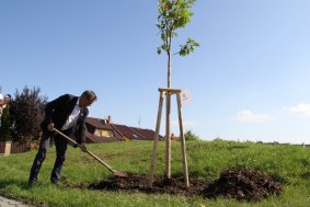 Hejtman se stal patronem stromu v Parku Malý Noe