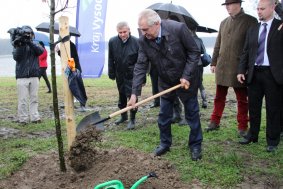 Hejtmani vysadili s prezidentem republiky dubovou alej na Vysočině