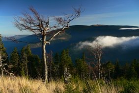 I přes podzimní pokles návštěvnosti byl rok 2011 úspěšný