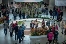 Svátek květin na Výstavišti Flora Olomouc