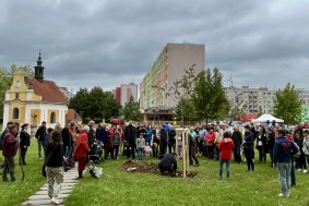 Hejtman sázel javor v parku Lásky a Přátelství