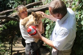 Křest lvíčat v ZOO na Svatém Kopečku