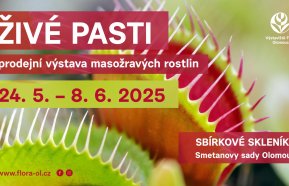 Živé pasti 2025