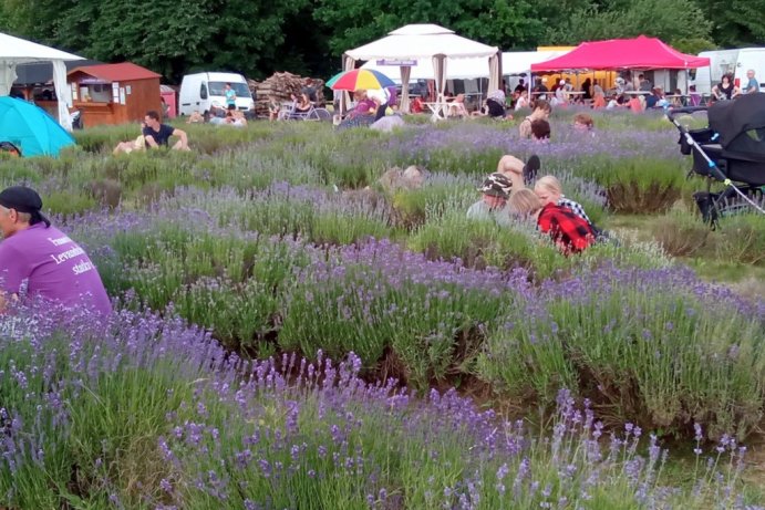 V Bezděkově proběhl tradiční levandulový festival