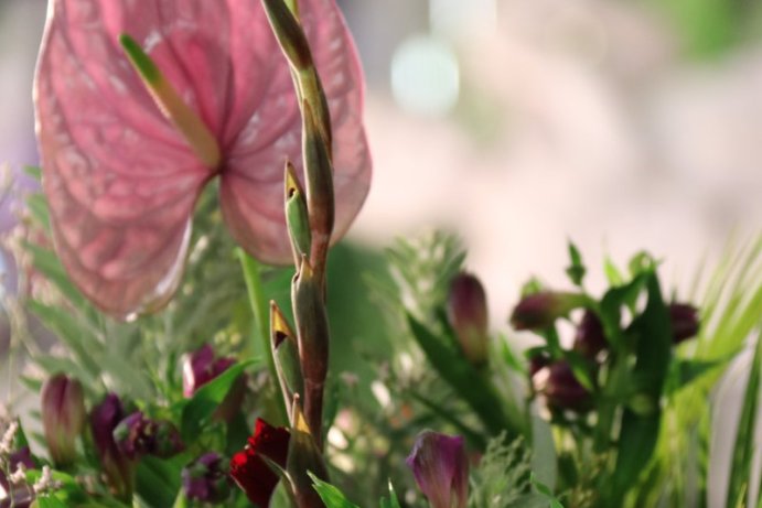 Začala letní etapa výstavy Flora Olomouc