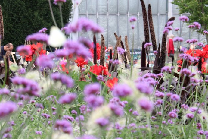 Začala letní etapa výstavy Flora Olomouc