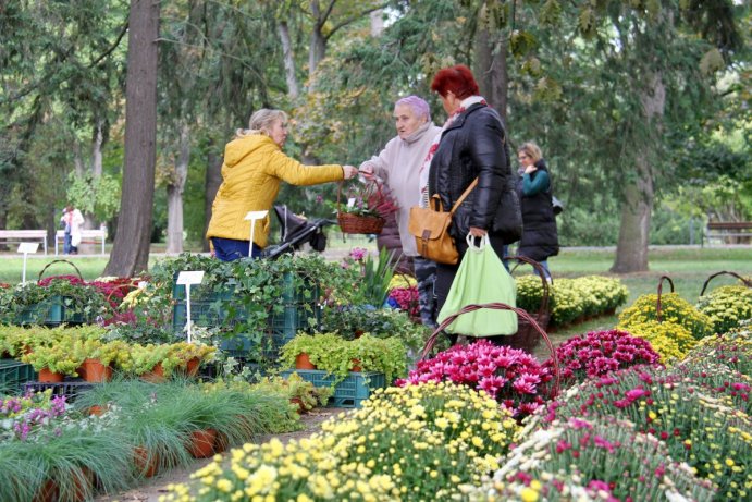 Podzimní Flora odstartovala, nabízí i regionální potraviny