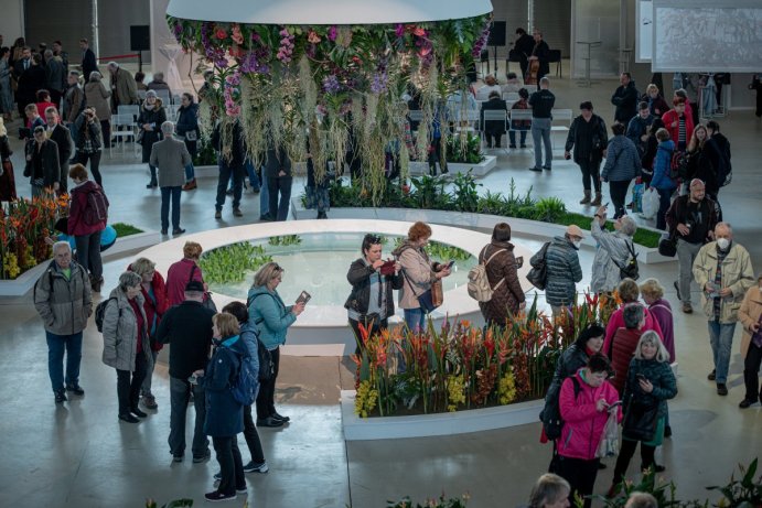 Svátek květin na Výstavišti Flora Olomouc Foto: Jan Krčmář