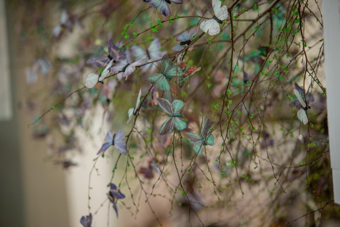 Svátek květin na Výstavišti Flora Olomouc Foto: Jan Krčmář