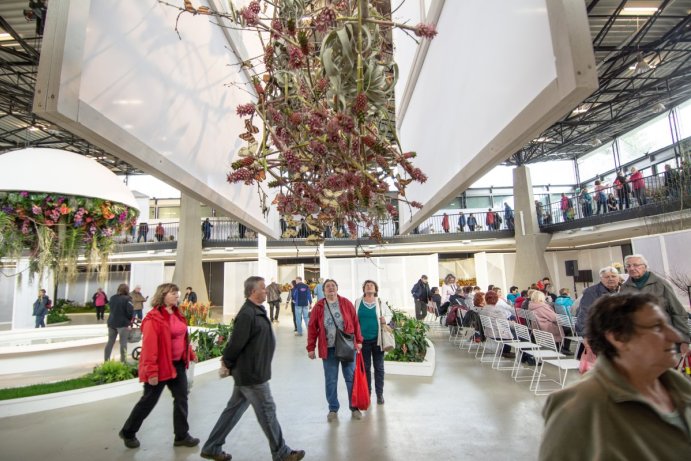 Svátek květin na Výstavišti Flora Olomouc Foto: Jan Krčmář