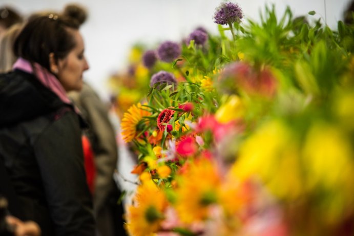 Svátek květin na Výstavišti Flora Olomouc Foto: Jan Krčmář