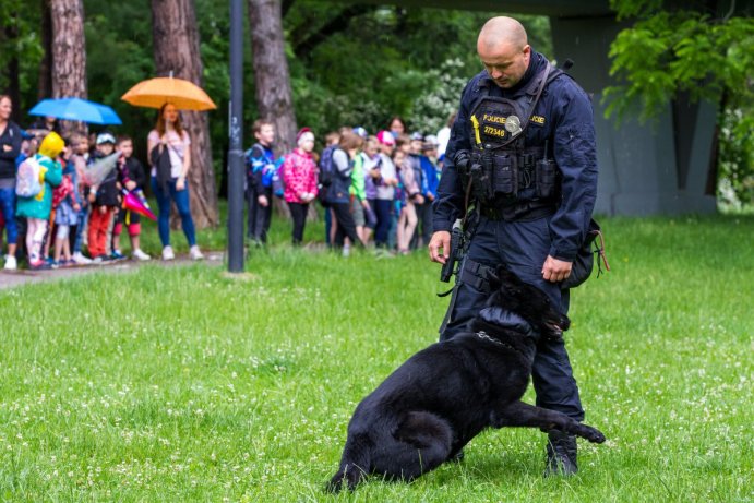 Dětský den se složkami IZS nabídl policejní koně i zásah celníků