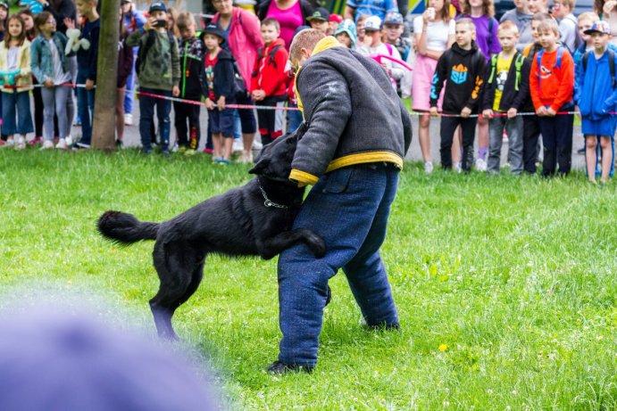 Dětský den se složkami IZS nabídl policejní koně i zásah celníků