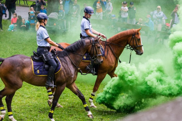 Dětský den se složkami IZS nabídl policejní koně i zásah celníků