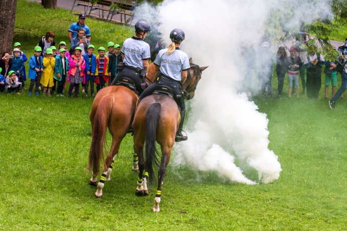 Dětský den se složkami IZS nabídl policejní koně i zásah celníků