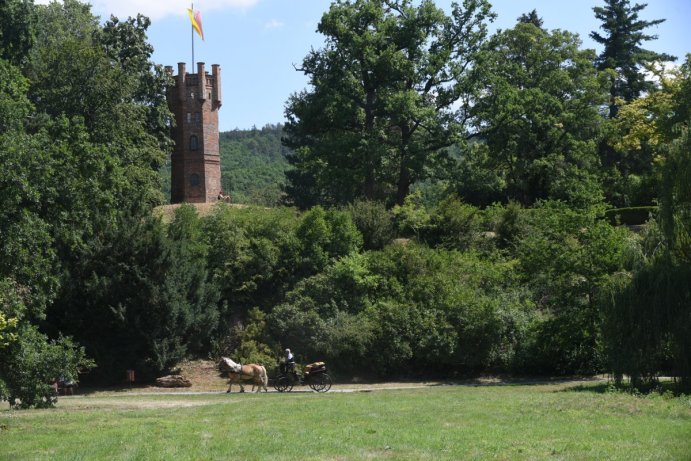 Historické kočáry, zruční řemeslníci. V Čechách pod Kosířem se konal Josefkol