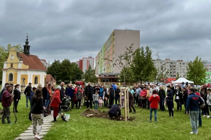 Hejtman sázel javor v parku Lásky a Přátelství