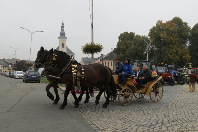 Mistrovství České republiky v orbě