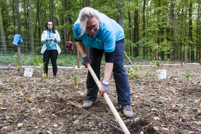 Zaměstnanci krajského úřadu podpořili zeleň na Olomoucku