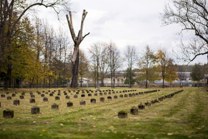 Náměstek hejtmana Dalibor Horák uctil památku válečných veteránů