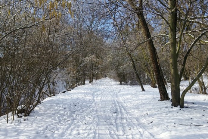 Zimní fotosoutěž