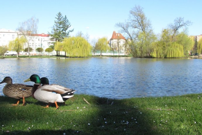 Fotosoutěž měsíčník Olomoucký kraj