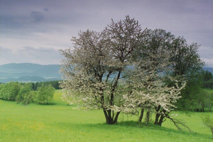 Fotosoutěž měsíčník Olomoucký kraj