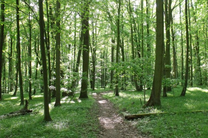 Fotosoutěž měsíčník Olomoucký kraj