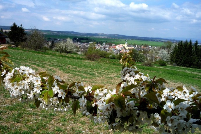 Fotosoutěž měsíčník Olomoucký kraj