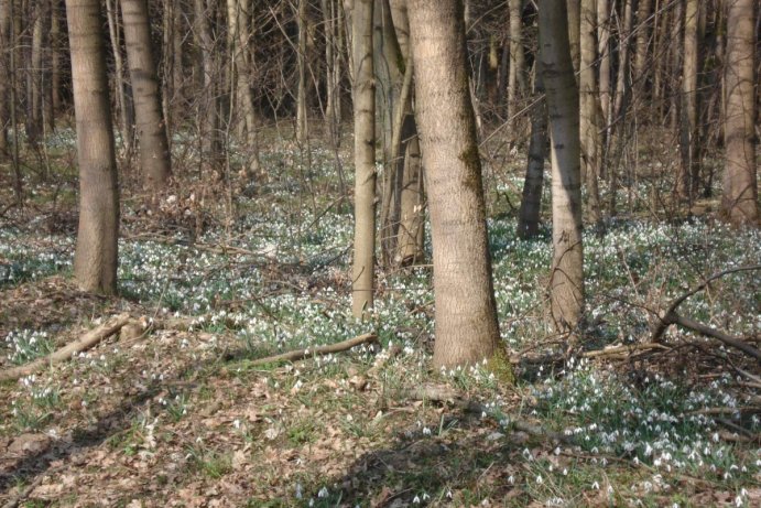 Fotosoutěž měsíčník Olomoucký kraj