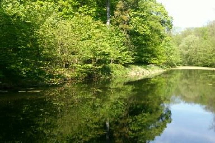 Fotosoutěž měsíčník Olomoucký kraj