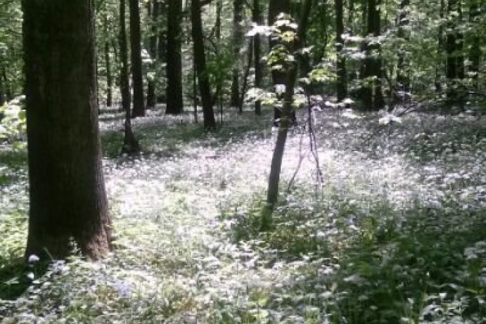 Fotosoutěž měsíčník Olomoucký kraj