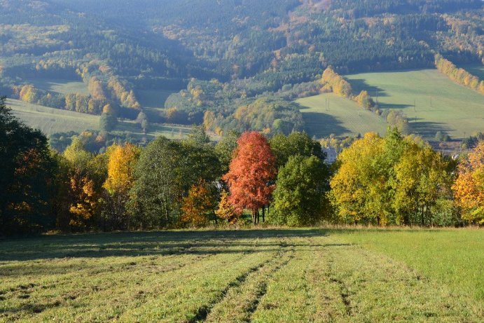 Soutěž Měsíčník Olomoucký kraj