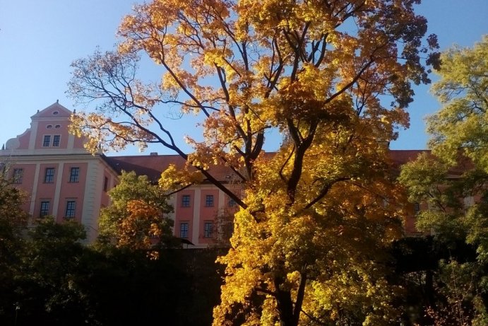 Soutěž Měsíčník Olomoucký kraj