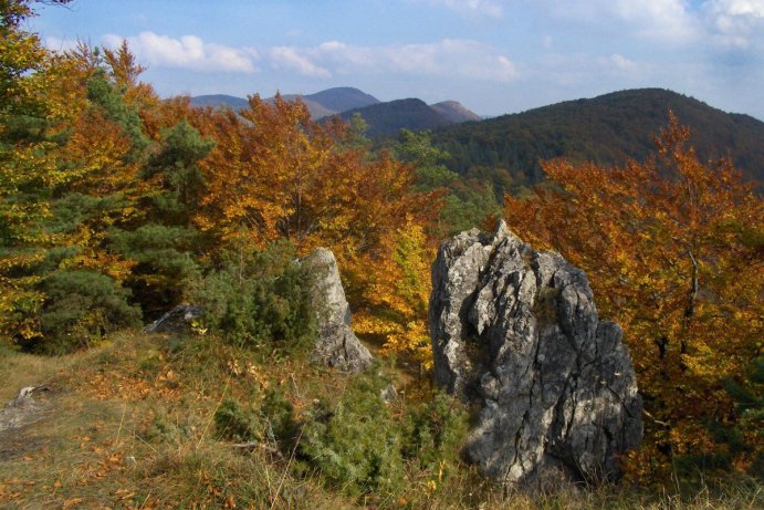 Soutěž Měsíčník Olomoucký kraj