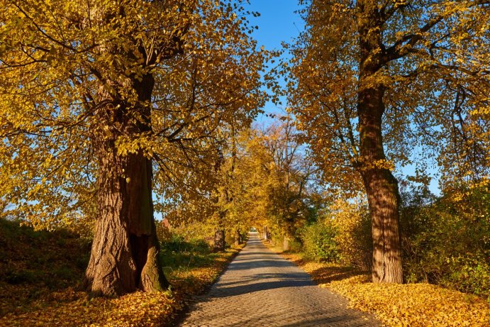 Soutěž Měsíčník Olomoucký kraj