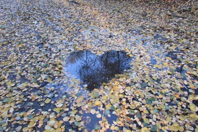 Soutěž Měsíčník Olomoucký kraj