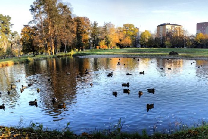 Soutěž Měsíčník Olomoucký kraj