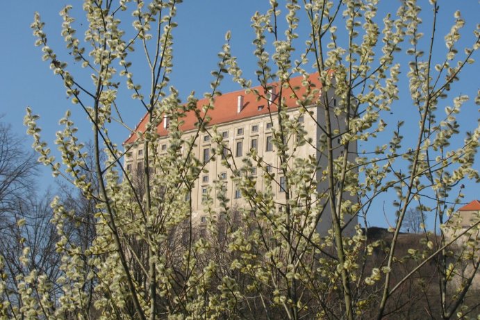 Fotosoutěž: Probouzející se Olomoucký kraj