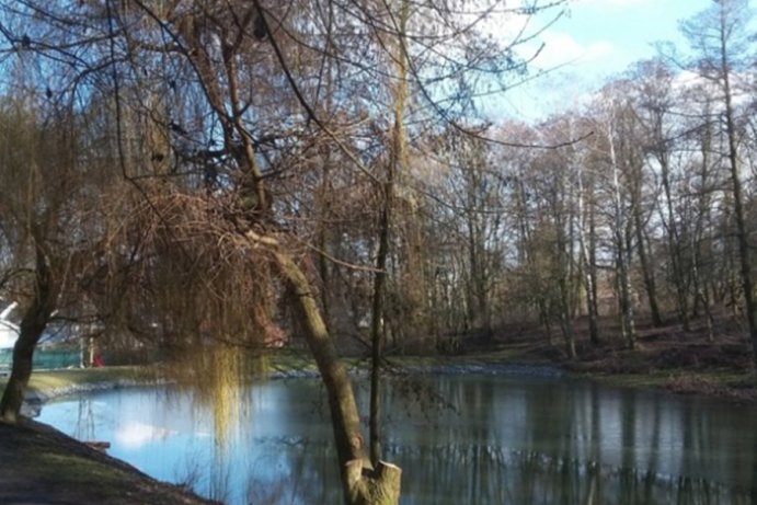 Fotosoutěž: Probouzející se Olomoucký kraj