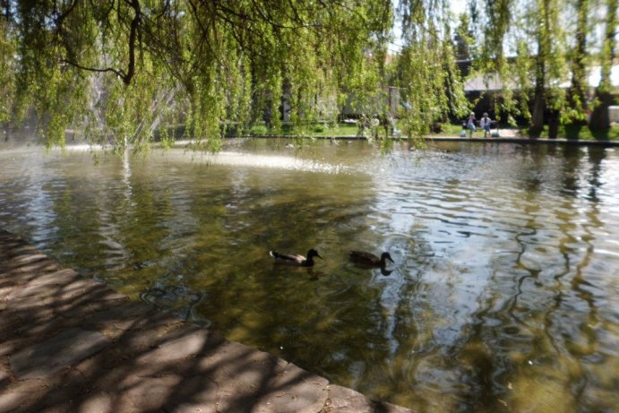 Fotosoutěž: Probouzející se Olomoucký kraj