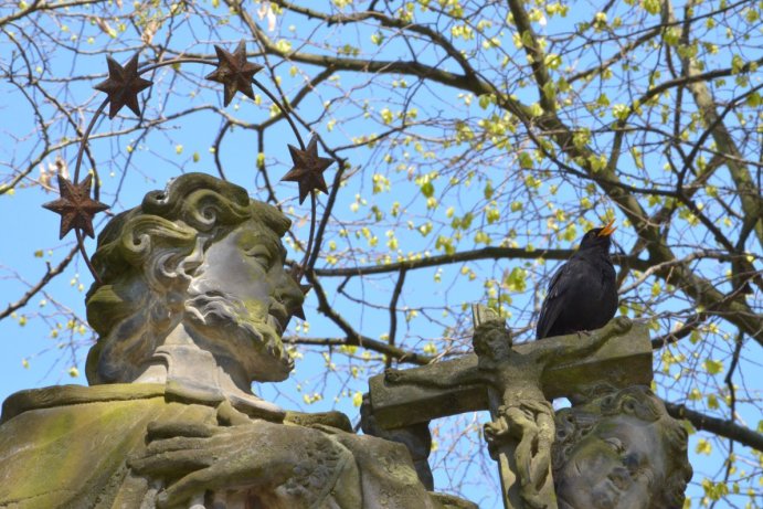 Fotosoutěž: Probouzející se Olomoucký kraj