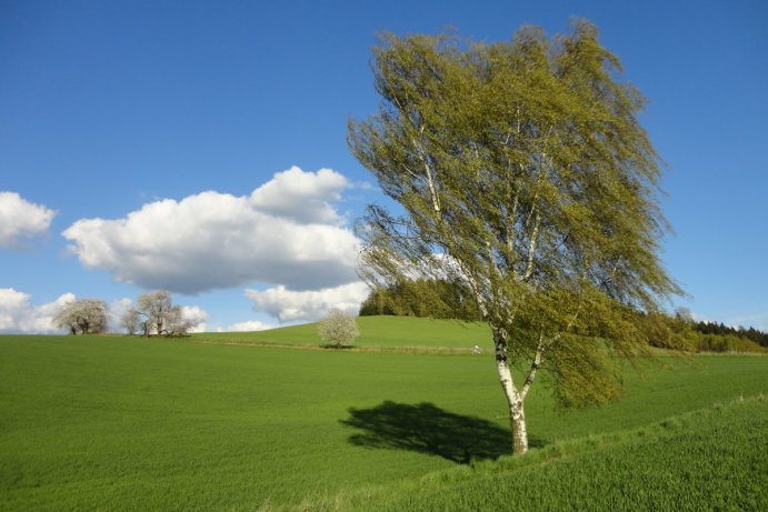 Fotosoutěž: Probouzející se Olomoucký kraj