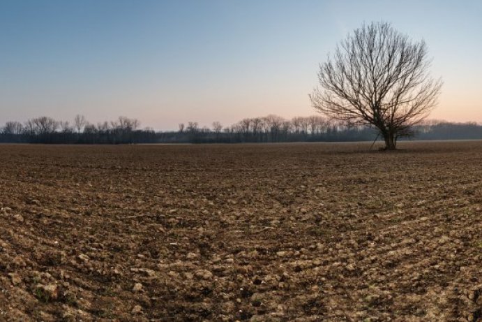 Fotosoutěž: Probouzející se Olomoucký kraj