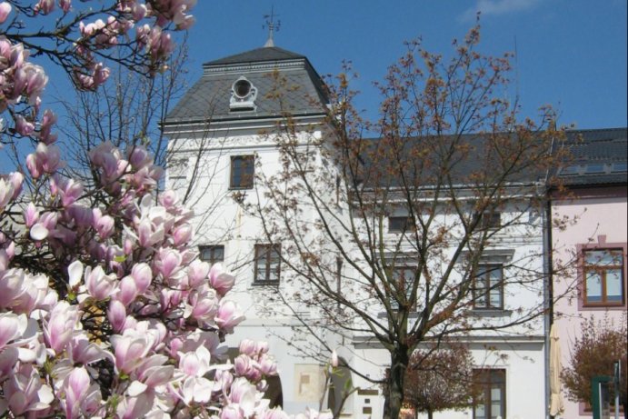 Fotosoutěž: Probouzející se Olomoucký kraj